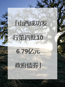山西成功发行第四批106.79亿元政府债券
