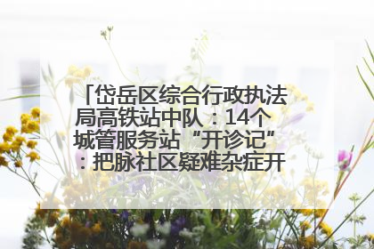 岱岳区综合行政执法局高铁站中队：14个城管服务站“开诊记”：把脉社区疑难杂症开出治理良方