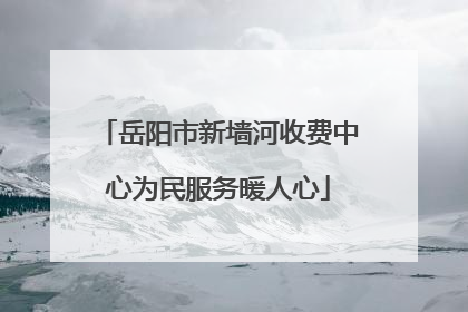 岳阳市新墙河收费中心为民服务暖人心