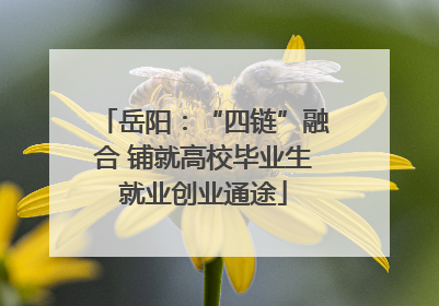 岳阳：“四链”融合 铺就高校毕业生就业创业通途