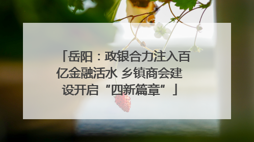 岳阳：政银合力注入百亿金融活水 乡镇商会建设开启“四新篇章”