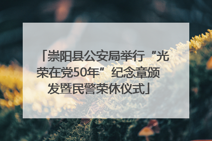 崇阳县公安局举行“光荣在党50年”纪念章颁发暨民警荣休仪式