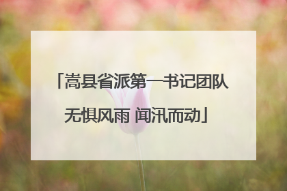 嵩县省派第一书记团队 无惧风雨 闻汛而动