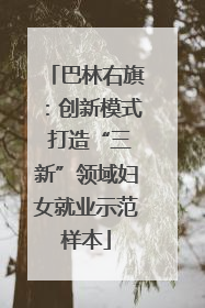 巴林右旗：创新模式 打造“三新”领域妇女就业示范样本