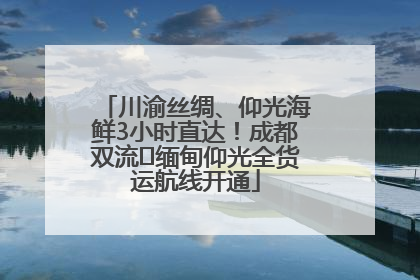 川渝丝绸、仰光海鲜3小时直达！成都双流⇌缅甸仰光全货运航线开通