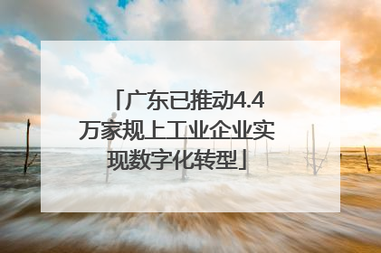 广东已推动4.4万家规上工业企业实现数字化转型