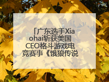 广东选手Xiaohai斩获美国CEO格斗游戏电竞赛事《饿狼传说》项目冠军