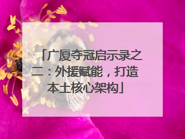 广厦夺冠启示录之二：外援赋能，打造本土核心架构