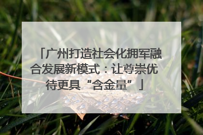 广州打造社会化拥军融合发展新模式：让尊崇优待更具“含金量”