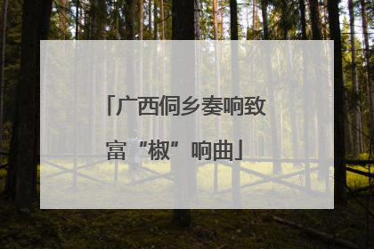 广西侗乡奏响致富“椒”响曲