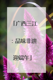 广西三江：品味非遗迎端午