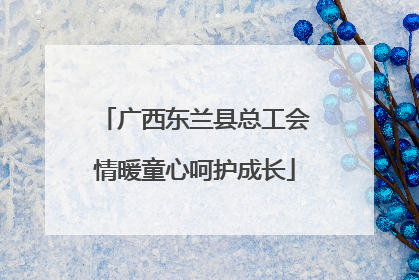广西东兰县总工会情暖童心呵护成长