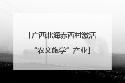 广西北海赤西村激活“农文旅学”产业