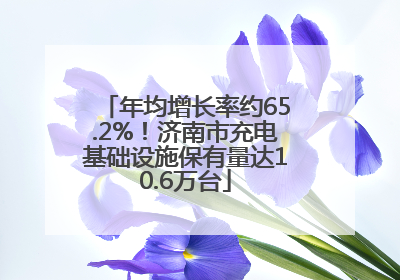 年均增长率约65.2%！济南市充电基础设施保有量达10.6万台
