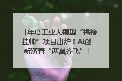 年度工业大模型“揭榜挂帅”项目出炉！AI创新济青“两翼齐飞”