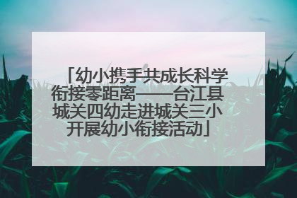 幼小携手共成长科学衔接零距离——台江县城关四幼走进城关三小开展幼小衔接活动