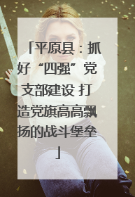 平原县：抓好“四强”党支部建设 打造党旗高高飘扬的战斗堡垒