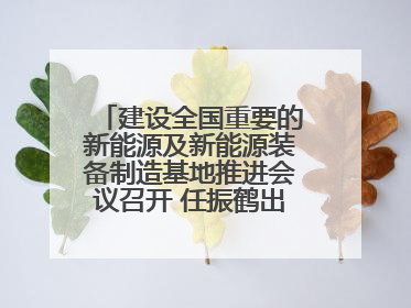 建设全国重要的新能源及新能源装备制造基地推进会议召开 任振鹤出席并讲话