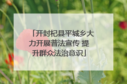 开封杞县平城乡大力开展普法宣传 提升群众法治意识