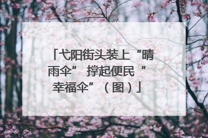 弋阳街头装上“晴雨伞” 撑起便民“幸福伞”（图）