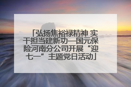 弘扬焦裕禄精神 实干担当建新功—国元保险河南分公司开展“迎七一”主题党日活动