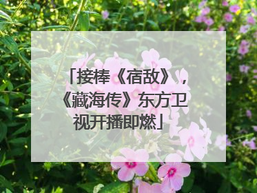 接棒《宿敌》，《藏海传》东方卫视开播即燃