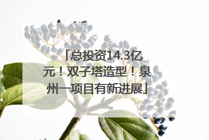 总投资14.3亿元！双子塔造型！泉州一项目有新进展