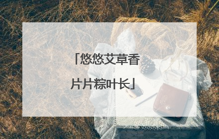 悠悠艾草香 片片粽叶长