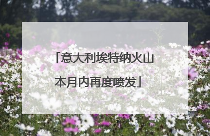 意大利埃特纳火山本月内再度喷发