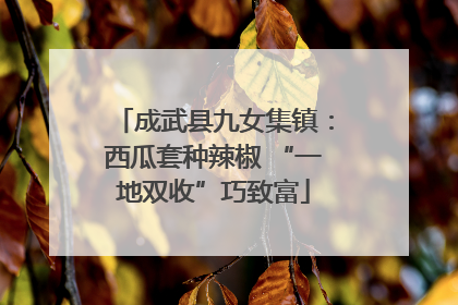成武县九女集镇：西瓜套种辣椒 “一地双收”巧致富