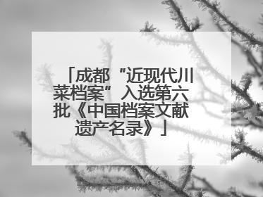成都“近现代川菜档案”入选第六批《中国档案文献遗产名录》
