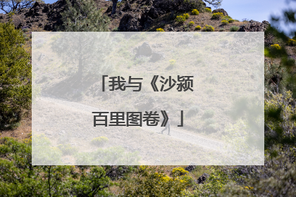我与《沙颍百里图卷》