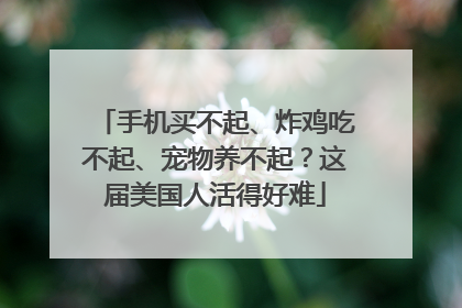 手机买不起、炸鸡吃不起、宠物养不起？这届美国人活得好难