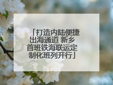 打造内陆便捷出海通道 新乡首班铁海联运定制化班列开行