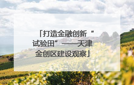 打造金融创新“试验田”——天津金创区建设观察