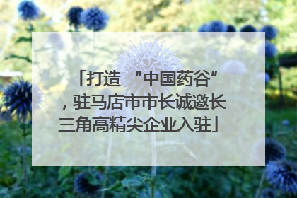 打造 “中国药谷”，驻马店市市长诚邀长三角高精尖企业入驻