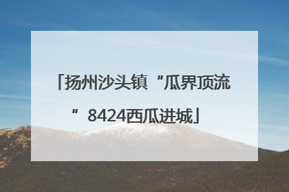 扬州沙头镇“瓜界顶流”8424西瓜进城