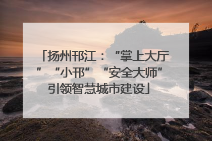 扬州邗江：“掌上大厅”“小邗”“安全大师”引领智慧城市建设