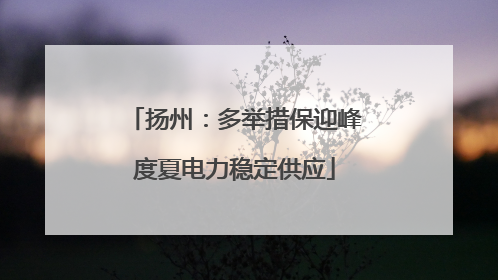 扬州：多举措保迎峰度夏电力稳定供应