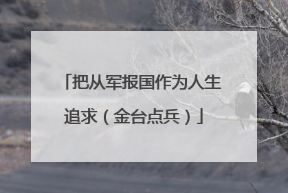 把从军报国作为人生追求（金台点兵）