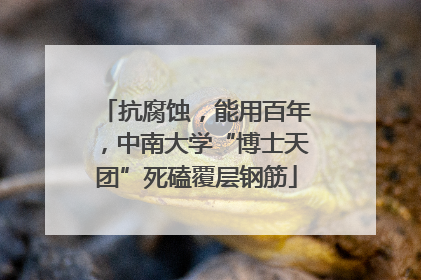 抗腐蚀，能用百年，中南大学“博士天团”死磕覆层钢筋