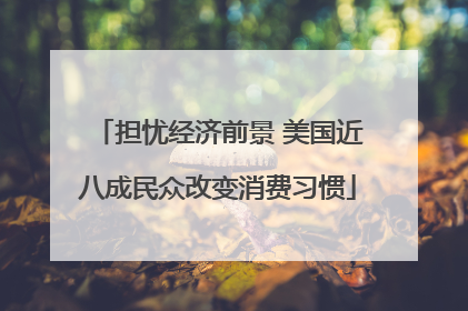 担忧经济前景 美国近八成民众改变消费习惯