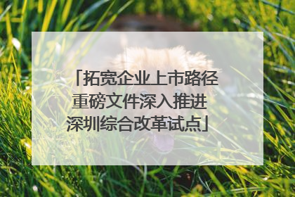 拓宽企业上市路径 重磅文件深入推进深圳综合改革试点