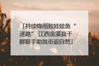 持续降雨致娃娃鱼“迷路” 江西金溪县干群联手助其重返自然