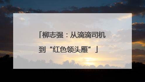 柳志强：从滴滴司机到“红色领头雁”