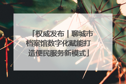 权威发布｜聊城市档案馆数字化赋能打造便民服务新模式