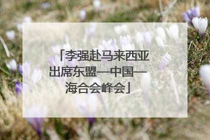 李强赴马来西亚出席东盟—中国—海合会峰会
