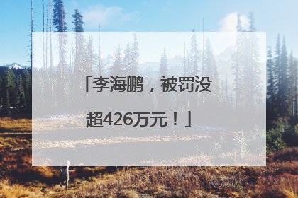 李海鹏，被罚没超426万元！