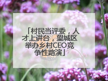 村民当评委，人才上讲台，望城区举办乡村CEO竞争性路演