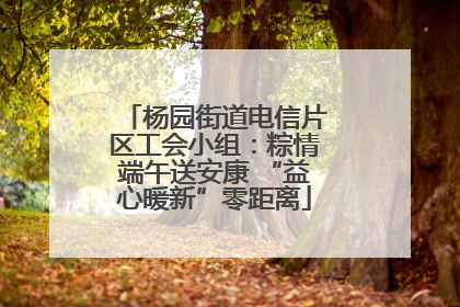 杨园街道电信片区工会小组：粽情端午送安康 “益心暖新”零距离